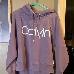 Calvin Klein Women's purple Hoodie